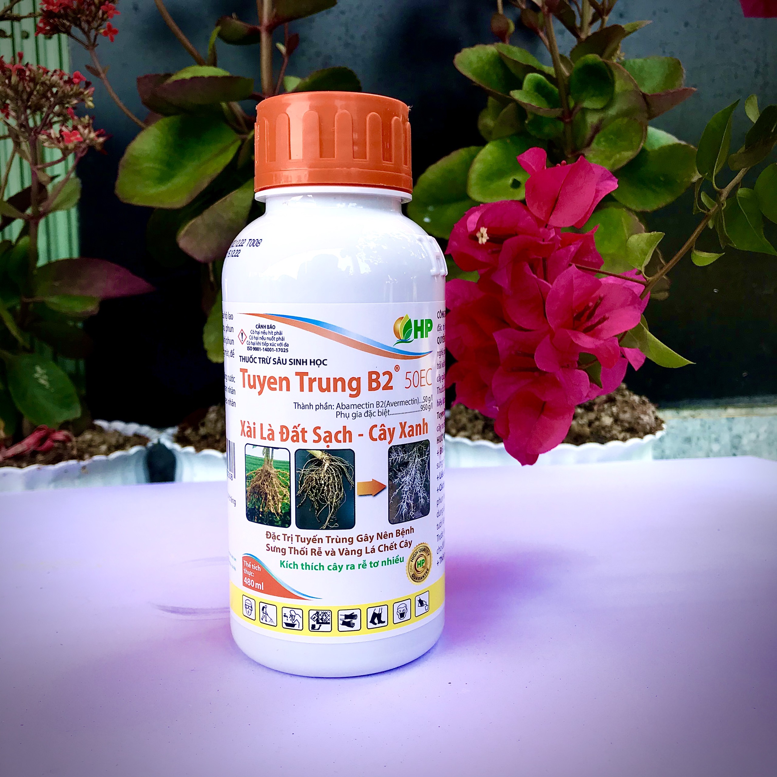 Tuyến Trùng B2 - Chai 480ml